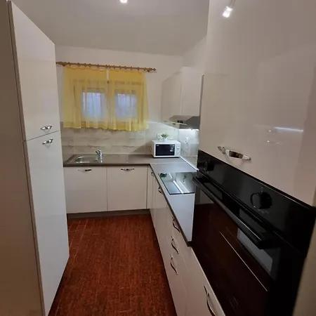 Guest house Apartments Silvana 597 Vlasici